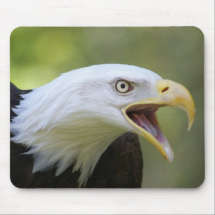 Örnmousepad Musmatta