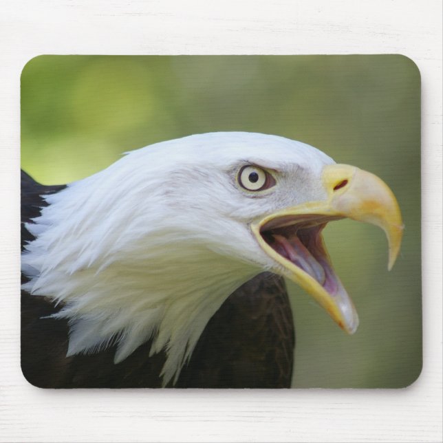 Örnmousepad Musmatta (Framsidan)