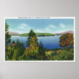Örnön och den lägre Saranac sjön beskådar Poster