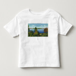 Örnön och den lägre Saranac sjön beskådar T Shirt