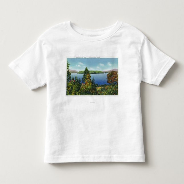 Örnön och den lägre Saranac sjön beskådar T Shirt (Framsida)