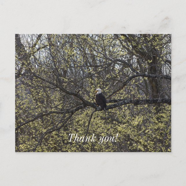 Örnutsikt Målerisk Vykort (Framsida)