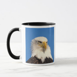 Örnutsikt Mugg