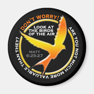 Oroa dig inte Christian Bird Bible Verse Religiösa Magnet