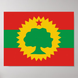 Oromo Flagga Poster