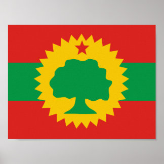 Oromo Flagga Poster