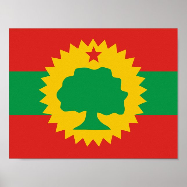 Oromo Flagga Poster (Framsidan)
