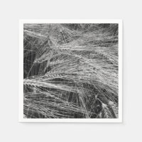 Öron av moget korn (Hordeum vulgare)