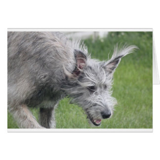 ÖRON i RÖRELSE Hälsningskort