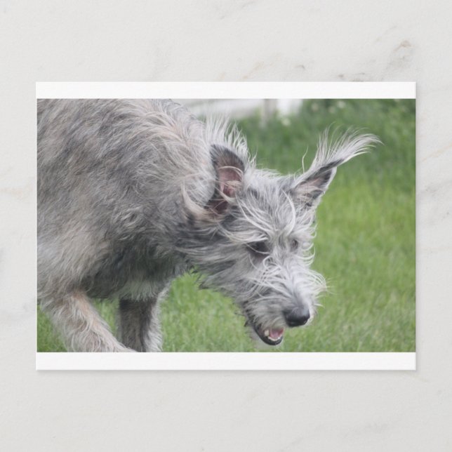 öron i rörelse vykort (Framsida)