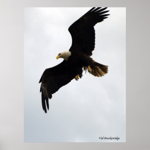 "Öron in Flight" Poster