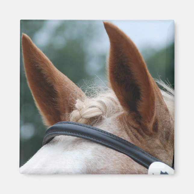 öron magnet (Framsidan)