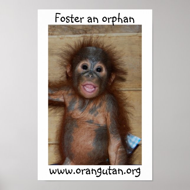 Orphan Baby Orangutan Poster (Framsidan)