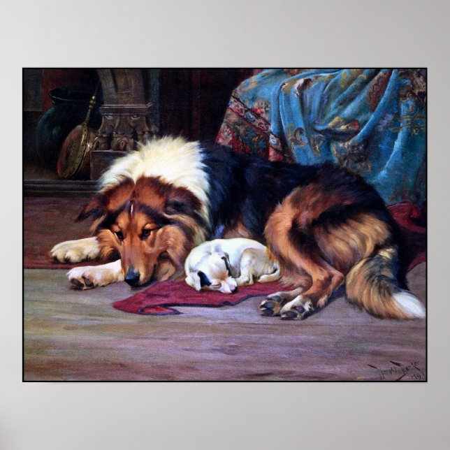 Orphan Hund som räddas av en Collie - Vintage Art  Poster (Framsidan)