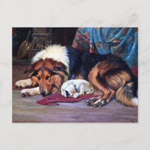 Orphan Hund with Collie Vintage Art Vykort