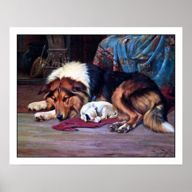 Orphan Puppy och Collie - av Wright Barker Poster (Framsidan)