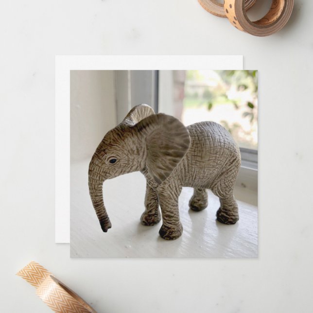 Orphane Baby Elephant Notecards Anteckningskort (Fram/Back In Situ)