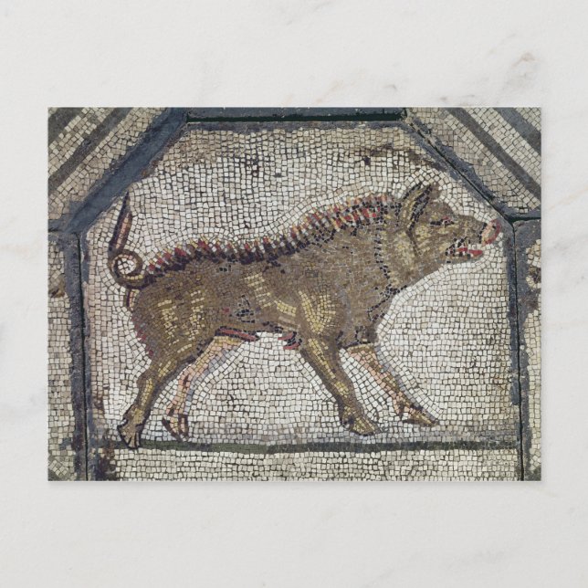 Orpheus Charming the Animals Vykort (Framsida)