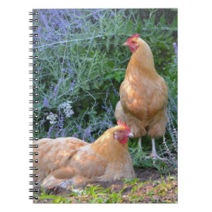 Orpington Hen bärbar dator Anteckningsbok