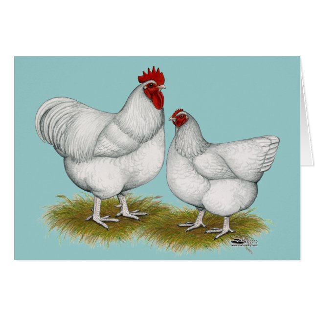 Orpington: Vitt par OBS Kort (Framsidan Horizontal)