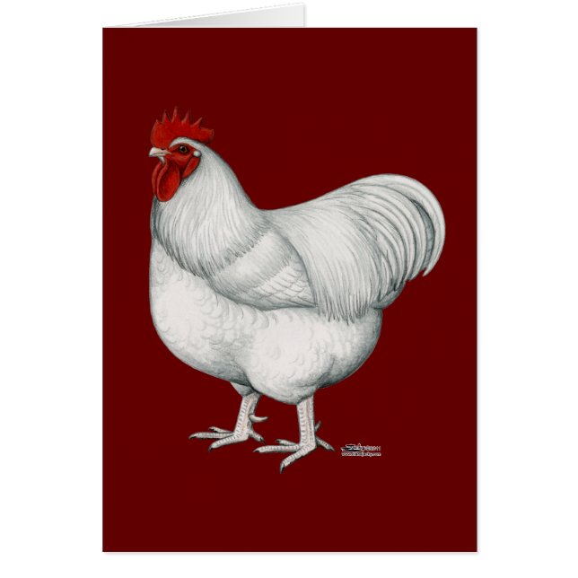 Orpington vittupp OBS kort (Framsidan)