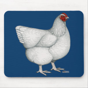 Orpington White Hen Musmatta