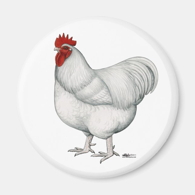Orpington White Tupp Magnet (Framsidan)