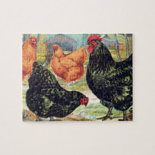 "Orpingtons~Chicken ", Pussel