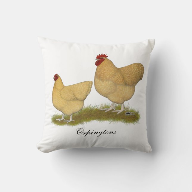 Orpingtons citrongök kudde (Framsida)