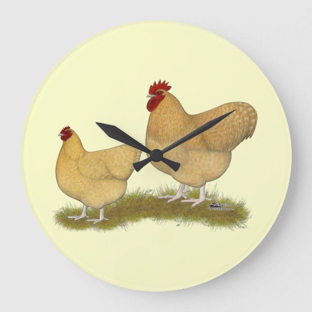 Orpingtons citrongök stor klocka (Framsida)