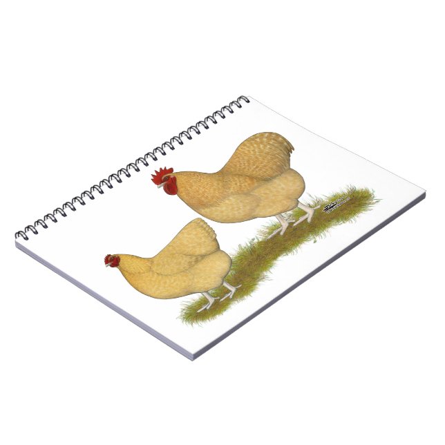 Orpingtons Lemon Cuckoo Anteckningsbok Med Spiral (Vänstra Sidan)