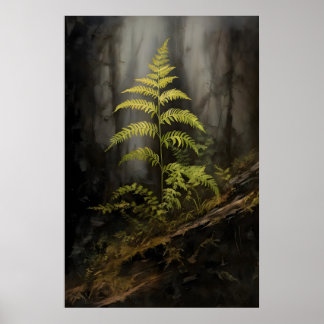 Orrbäken i skog Mörk akademia, Botanisk , Skog Poster