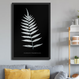 Orrbäken - Polypodyum Fraxinifolium - Röntgenstrål Poster
