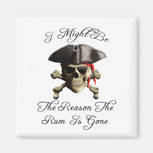 Orsak till att enheten är Borta Pirat Skull Magnet