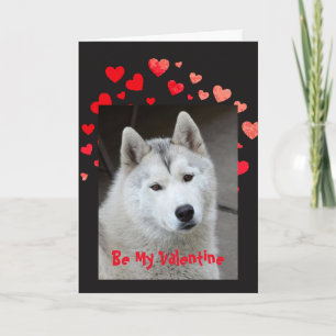Orsaka I-Woofkärlek dig den Husky hundvalentinen Helgkort