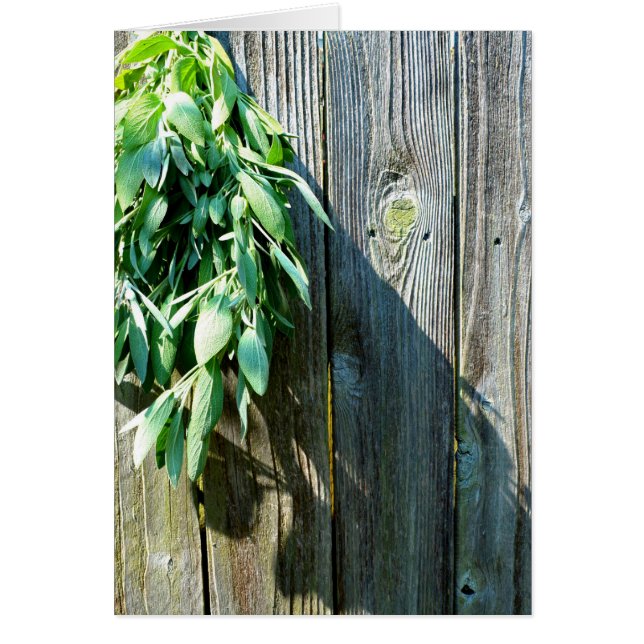 Örter av botaniskt grönt, nödrad, av trä hälsningskort (Framsidan)