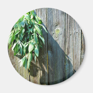 Örter av botaniskt grönt, nödrad, av trä magnet