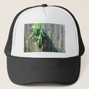Örter av botaniskt grönt, nödrad, av trä truckerkeps