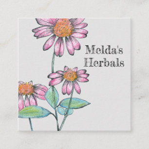 Örter Coneflower Echinacea Medicinal Herb Fyrkantigt Visitkort