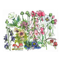 Örter för giftiga växter