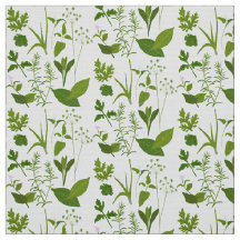 Örter för insamling av örter