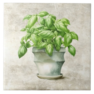 Örter för vattenfärg Basil Rustic Faux Struktur Kakelplatta