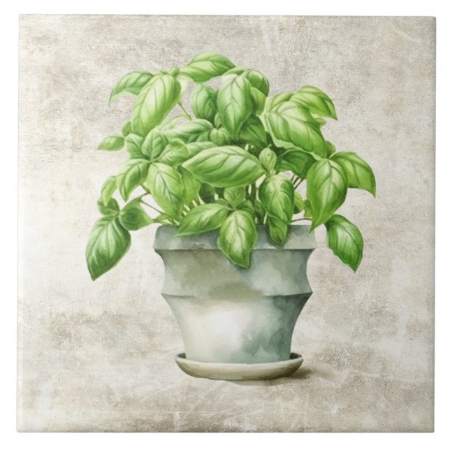 Örter för vattenfärg Basil Rustic Faux Struktur Kakelplatta (Framsidan)