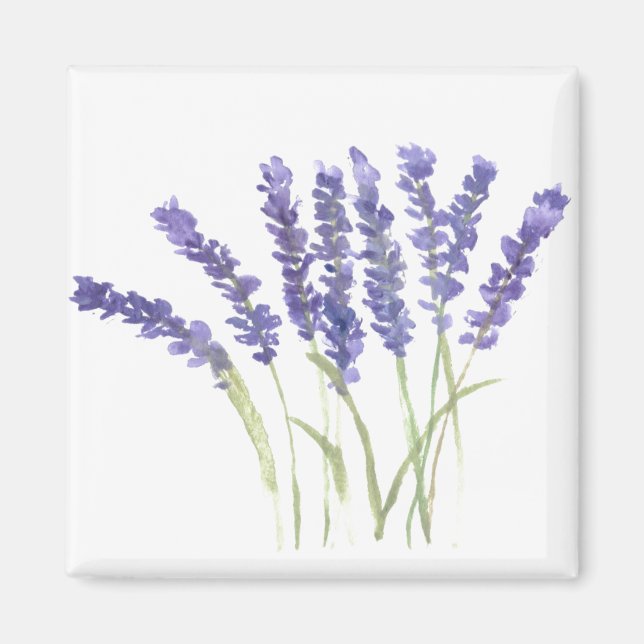 Örter för vattenfärg för lavender-blommor magnet (Framsidan)