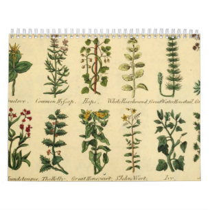ÖRTER OCH BOTANICALER, kalender för medeltida Vint