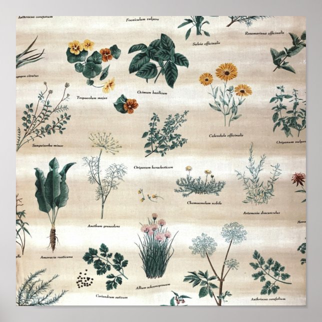 Örter Poster (Framsidan)