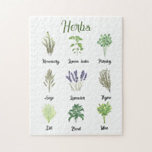 Örter Watercolor Sage Thyme Grönt Plants Kitchen Pussel