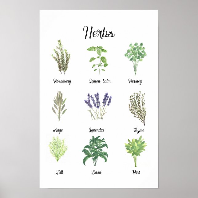 Örter Watercolor Sage Thyme Rosemary Kitchen Poster (Framsidan)