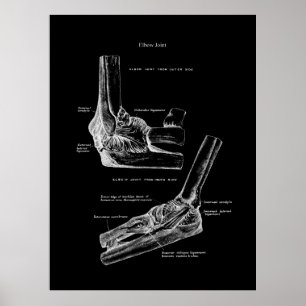 Ortodoxa väggdekan för armbågsben poster