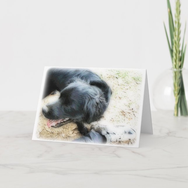 Orton Smokey och Matte Kort (Framsida)